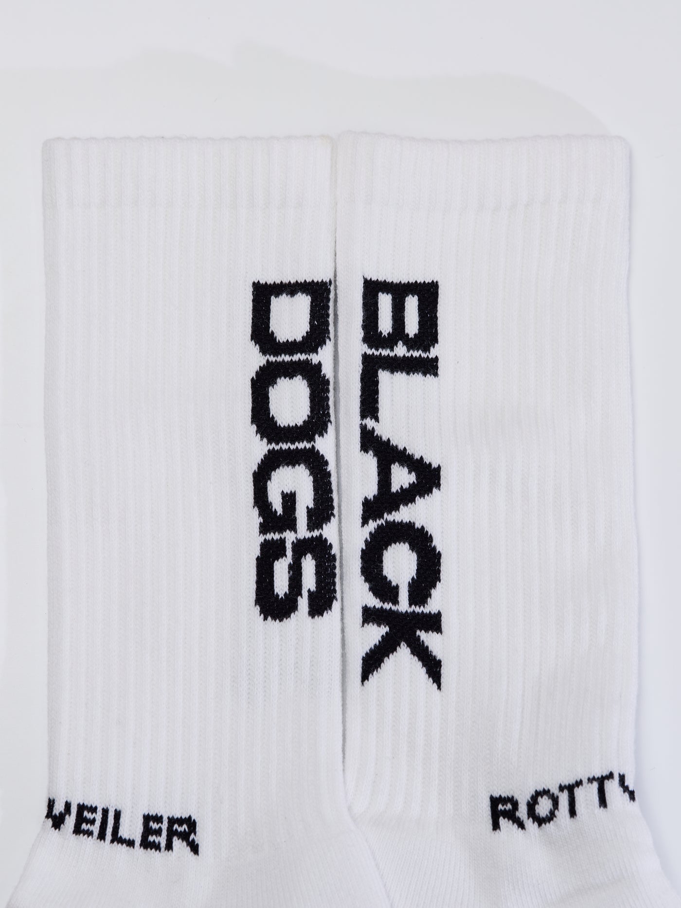 ROTTWEILER ×  PURPLES  BLACK DOGS - white -